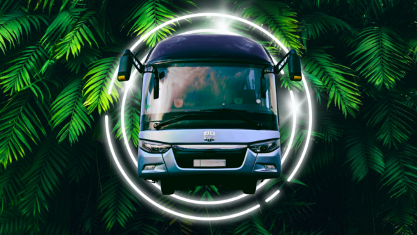 Image with a party bus and green background. With circles around it on live how you want sales page for edc lv